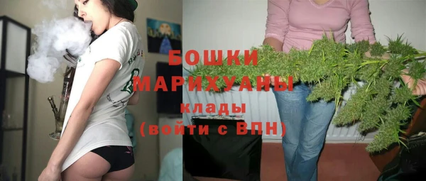 индика Каменногорск