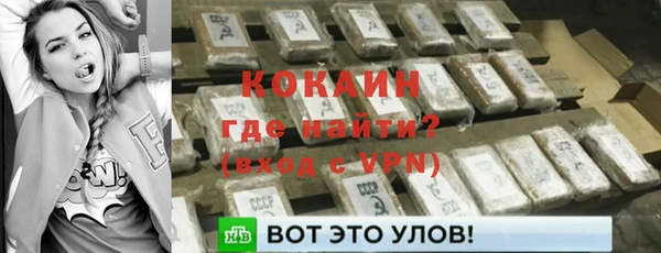 индика Каменногорск