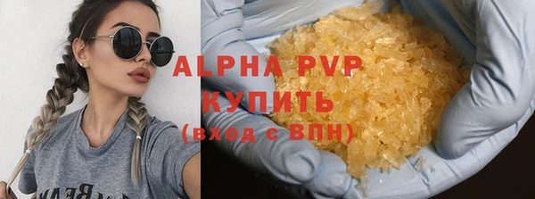 индика Каменногорск