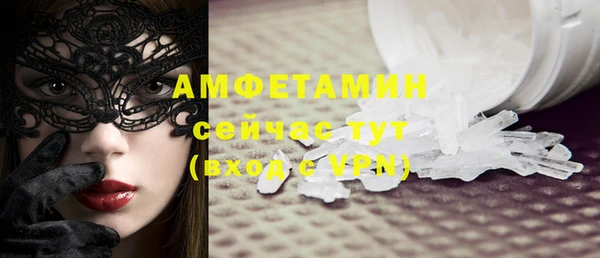 индика Каменногорск