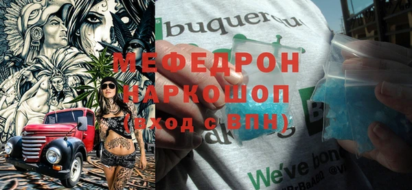 индика Каменногорск