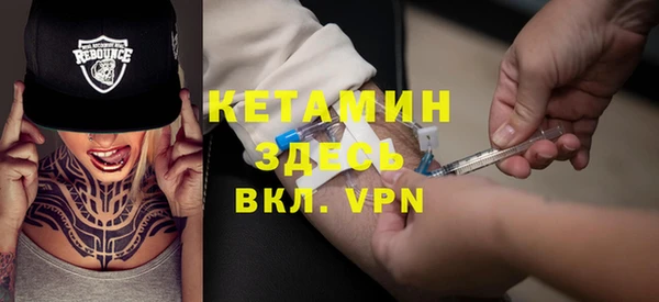 индика Каменногорск