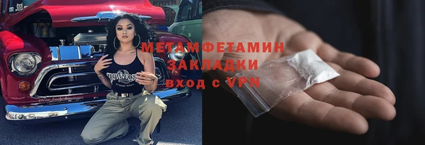 индика Каменногорск