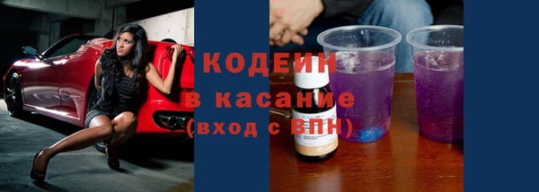 индика Каменногорск