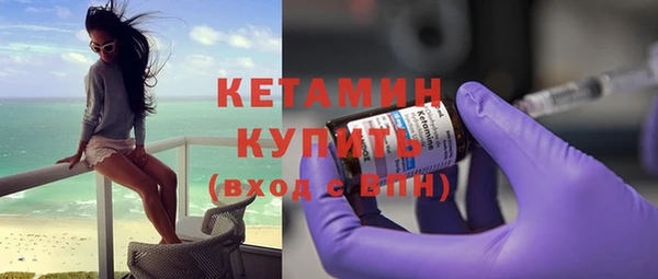 индика Каменногорск
