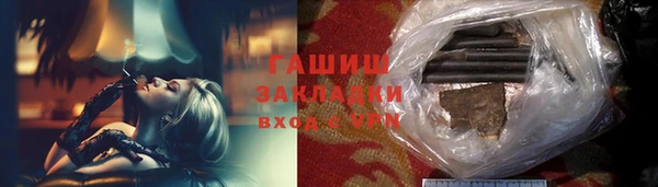 индика Каменногорск