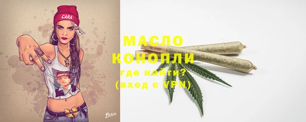 индика Каменногорск