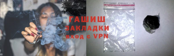 индика Каменногорск