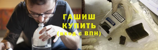 индика Каменногорск