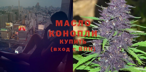 индика Каменногорск