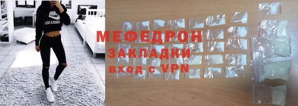 индика Каменногорск
