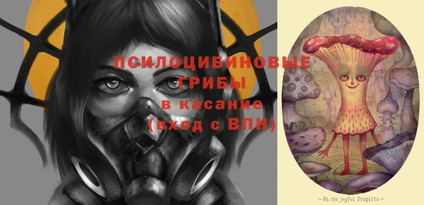 индика Каменногорск