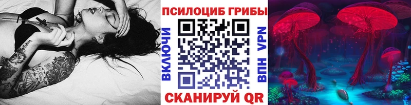 Купить закладки  Волжский  Галлюциногенные грибы Psilocybe 