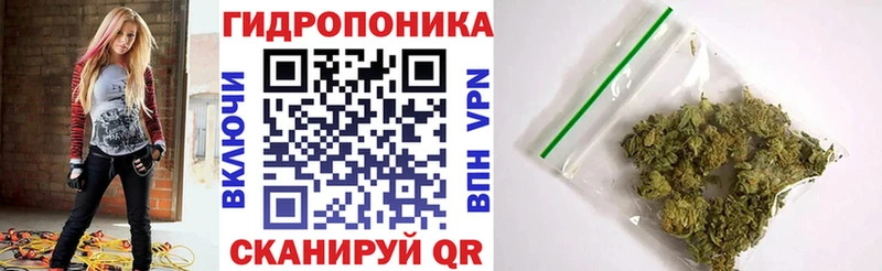 Купить где  Волжский  Канабис ГИДРОПОН 